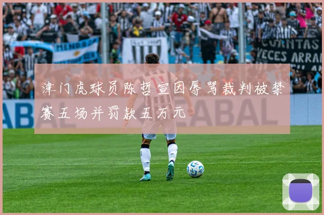 津门虎球员陈哲宣因辱骂裁判被禁赛五场并罚款五万元