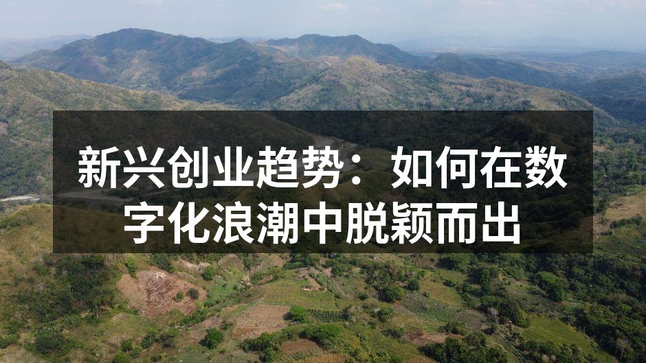 新兴创业趋势：如何在数字化浪潮中脱颖而出
